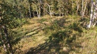 251 Parthenon Dr, Olympian Village, MO 63020