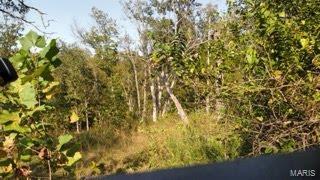 251 Parthenon Dr, Olympian Village, MO 63020