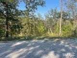 251 Parthenon Dr, Olympian Village, MO 63020
