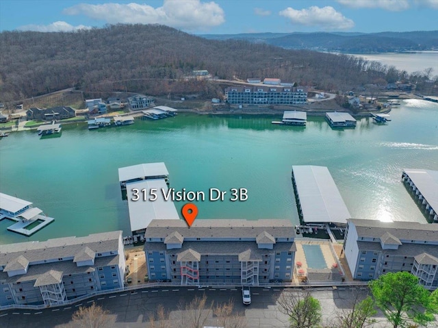 bird's eye view of a water and mountain view and a forest
