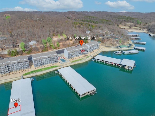 drone / aerial view of a large body of water and a heavily wooded area