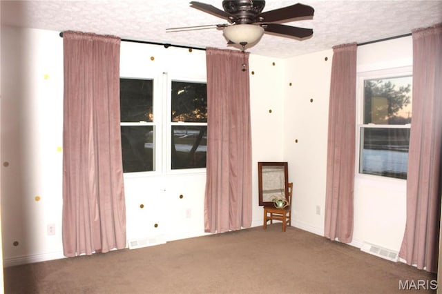 462 Il Route 127, Greenville, IL 62246 - spare room with carpet flooring, ceiling fan, and a textured ceiling