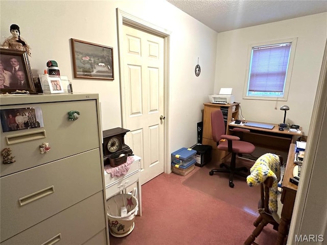 6474 State Highway H, Benton, MO 63736 - carpeted home office with a textured ceiling