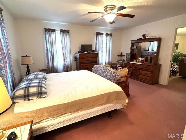 6474 State Highway H, Benton, MO 63736 - bedroom featuring light colored carpet and a ceiling fan