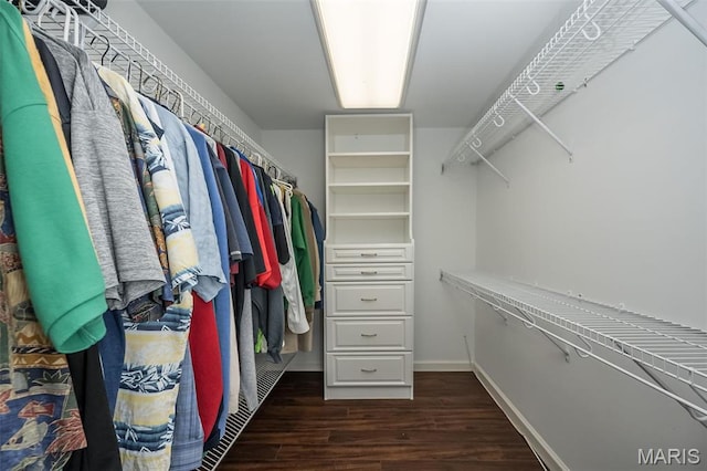 12 Country Club Ter, Glendale, MO 63122 - walk in closet featuring dark wood finished floors
