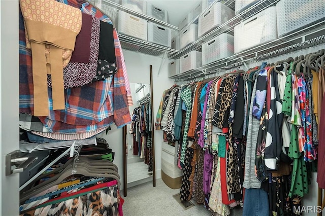 5019 Pacific Crest Trl, Cottleville, MO 63304 - spacious closet with carpet floors