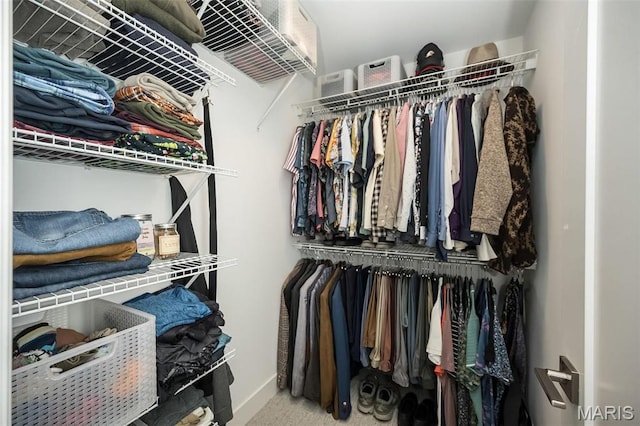 5019 Pacific Crest Trl, Cottleville, MO 63304 - spacious closet with carpet flooring