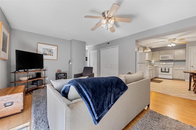 14 Eagle Rock Cv Unit 307, Valley Park, MO 63088 - living area with a ceiling fan and light wood-type flooring