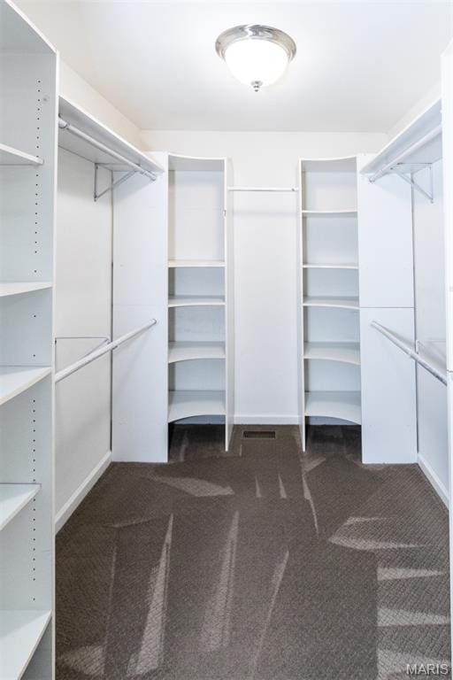 walk in closet with carpet flooring