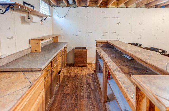 below grade area featuring a workshop area and dark wood-type flooring