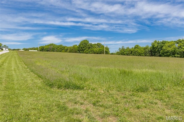 11400 State Road C, Hillsboro, MO 63050 - view of undeveloped land with rural landscape