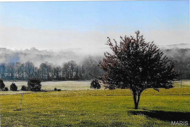 11400 State Road C, Hillsboro, MO 63050 - surrounding community with a lawn