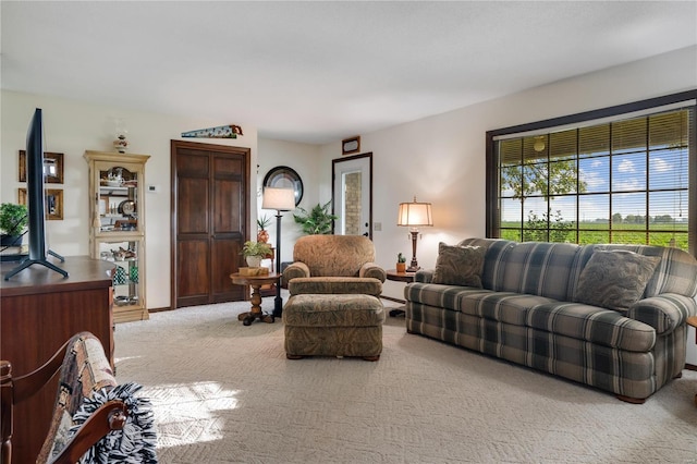 6492 State Highway 25, Dexter, MO 63841 - living area with carpet flooring