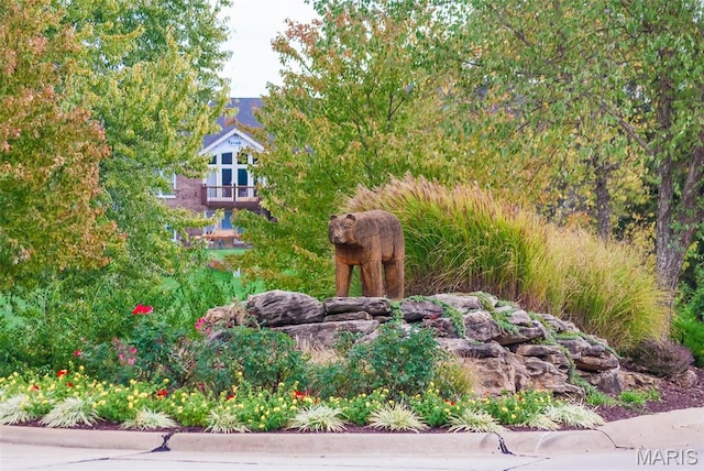 1101 Panda Ct, Wentzville, MO 63385 - view of yard