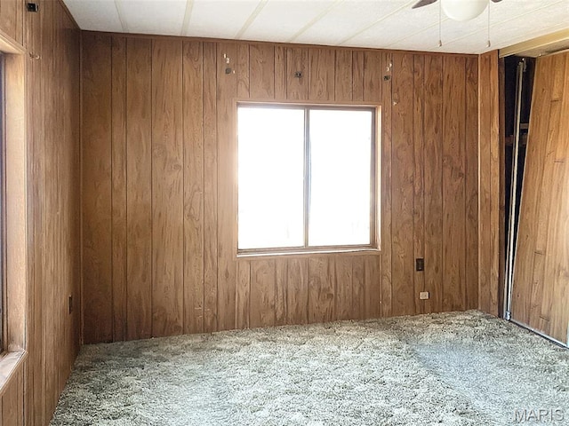 307 Silvey, Fayette, MO 65248 - carpeted spare room with wooden walls and a ceiling fan