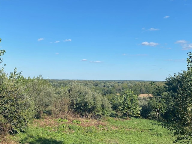 0 Josephine Dr, Vandalia, IL 62471