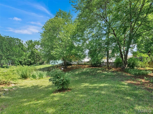 1538 Wild Goose Run, Saint Charles, MO 63303 - photo 33