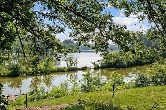 6405 S Ronnie Dr, Waterloo, IL 62298 - water view