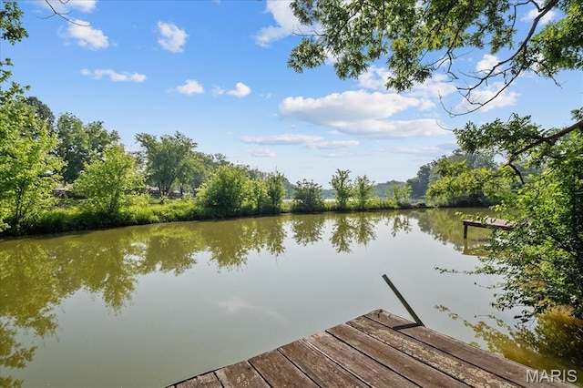 6405 S Ronnie Dr, Waterloo, IL 62298 - dock area with a water view
