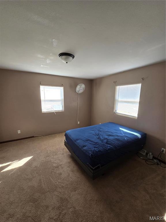 423 Virginia St, Granite City, IL 62040 - view of carpeted bedroom