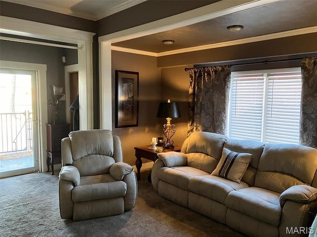 550 N 4th St, Breese, IL 62230 - carpeted living area featuring crown molding