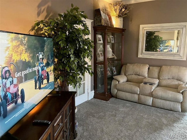 550 N 4th St, Breese, IL 62230 - living area with carpet flooring