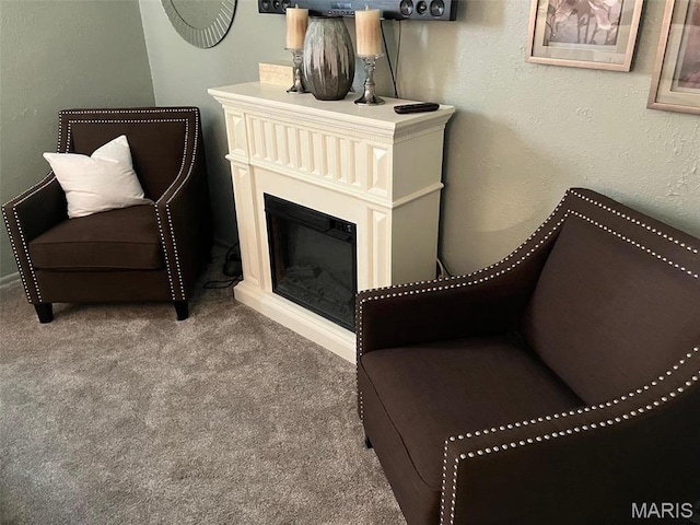 550 N 4th St, Breese, IL 62230 - sitting room featuring carpet floors and a glass covered fireplace