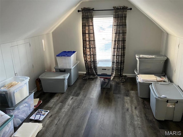 550 N 4th St, Breese, IL 62230 - additional living space featuring wood finished floors, a decorative wall, healthy amount of natural light, and vaulted ceiling
