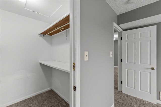 walk in closet featuring carpet flooring