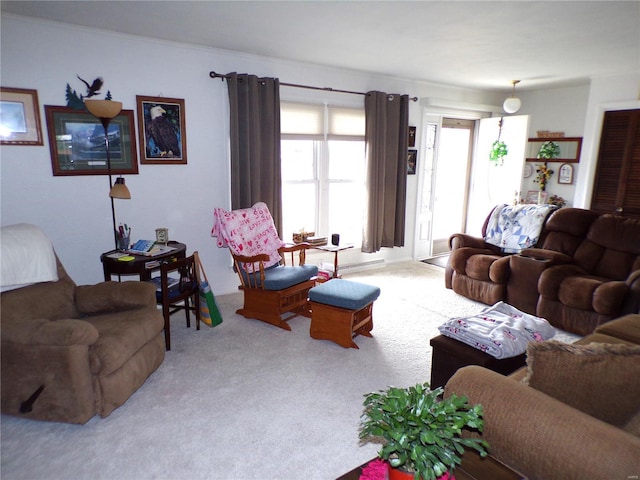 508 N Galloway Rd, Vandalia, MO 63382 - view of carpeted living room