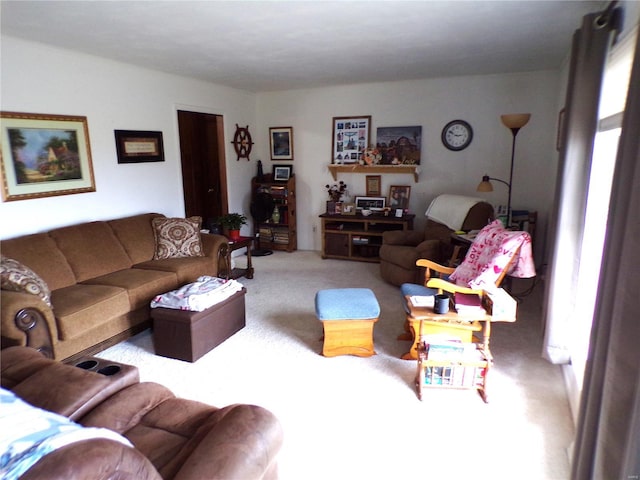 508 N Galloway Rd, Vandalia, MO 63382 - living area with carpet flooring