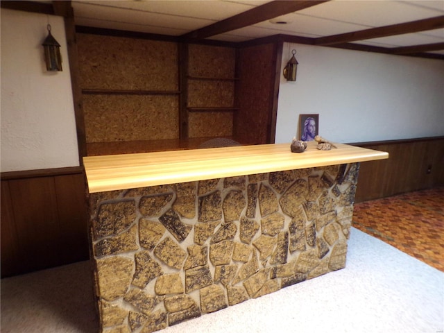 508 N Galloway Rd, Vandalia, MO 63382 - bar area featuring carpet, wood walls, and a wainscoted wall