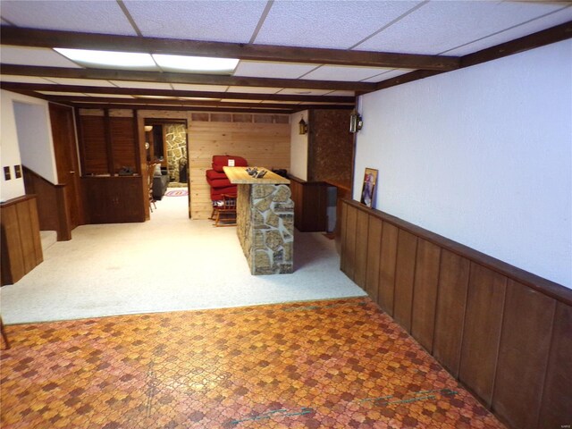 508 N Galloway Rd, Vandalia, MO 63382 - finished basement featuring wooden walls, carpet, and wainscoting