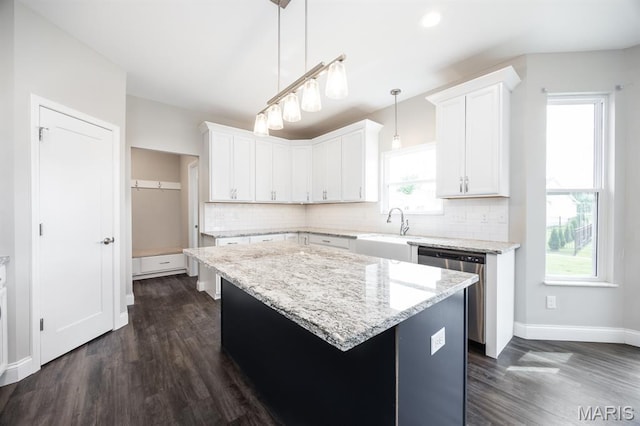 135 Reagan Dr, Troy, IL 62294 - kitchen with a sink, dishwasher, dark wood-style flooring, and decorative backsplash