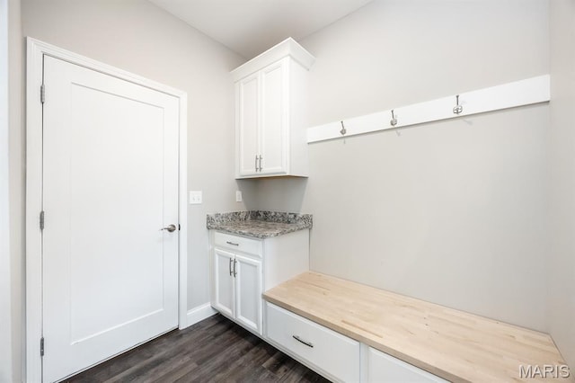 135 Reagan Dr, Troy, IL 62294 - mudroom featuring dark wood-style flooring and baseboards