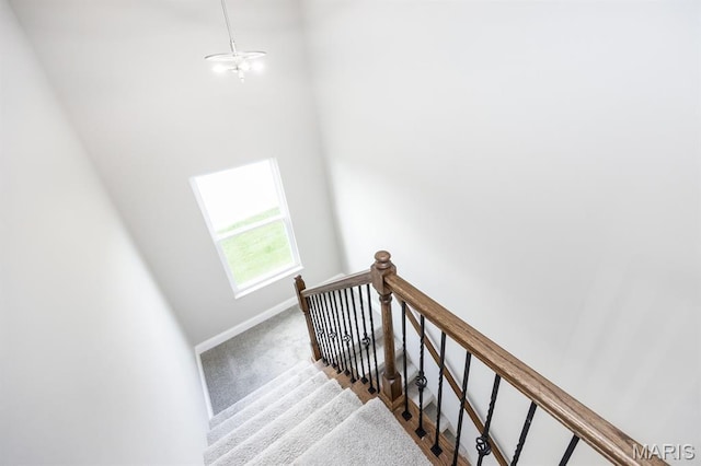 135 Reagan Dr, Troy, IL 62294 - stairway with carpet flooring and baseboards