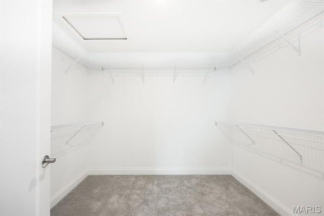 135 Reagan Dr, Troy, IL 62294 - walk in closet with carpet floors and attic access