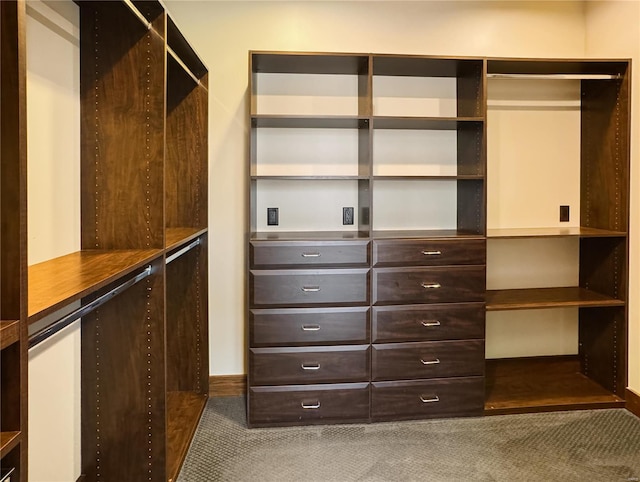 6 E Front St Unit 6, Washington, MO 63090 - spacious closet with carpet
