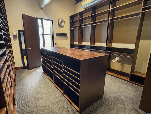 6 E Front St Unit 6, Washington, MO 63090 - walk in closet with carpet flooring