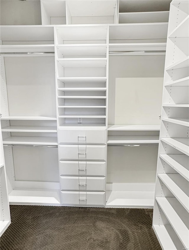 6 E Front St Unit 6, Washington, MO 63090 - view of walk in closet