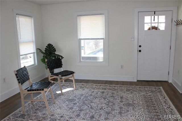 foyer featuring wood finished floors, plenty of natural light, and baseboards