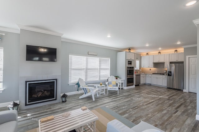 24345 State Rte Ww Unit 46, Saint Genevieve, MO 63670 - living area with wood finished floors, crown molding, a tile fireplace, recessed lighting, and baseboards