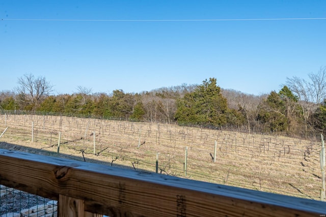 24345 State Rte Ww Unit 46, Saint Genevieve, MO 63670 - view of yard featuring fence, a view of countryside, and a wooded view