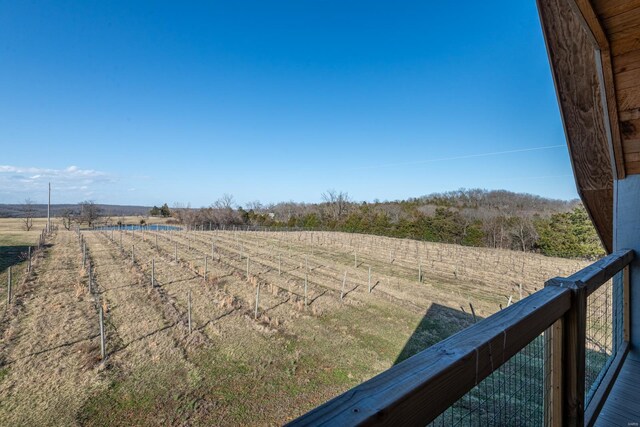 24345 State Rte Ww Unit 46, Saint Genevieve, MO 63670 - view of yard featuring a rural view and fence