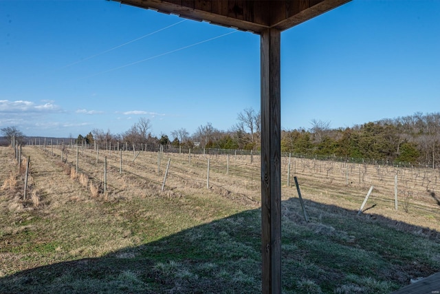 24345 State Rte Ww Unit 46, Saint Genevieve, MO 63670 - view of yard featuring a rural view