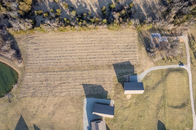 24345 State Rte Ww Unit 46, Saint Genevieve, MO 63670 - bird's eye view