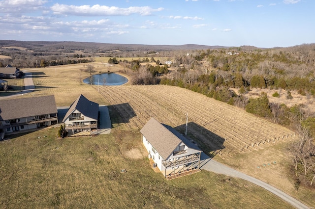 24345 State Rte Ww Unit 46, Saint Genevieve, MO 63670 - aerial view of sparsely populated area with a nearby body of water