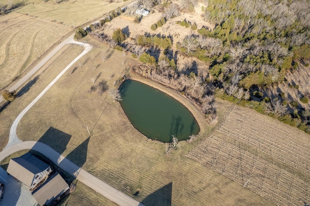 24345 State Rte Ww Unit 46, Saint Genevieve, MO 63670 - aerial view of property's location featuring a nearby body of water
