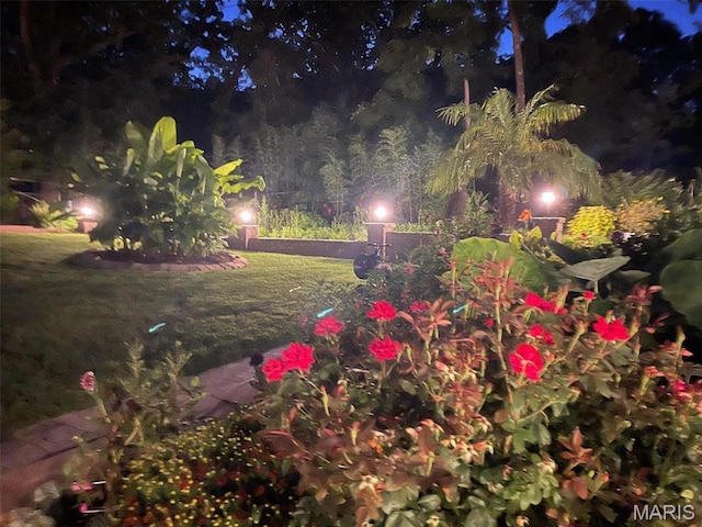 651 Kiefer Creek Rd, Ballwin, MO 63021 - yard at night featuring a lawn