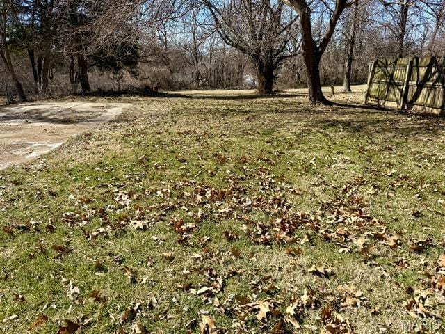19 S Schlueter Ave, Saint Louis, MO 63135 - view of yard
